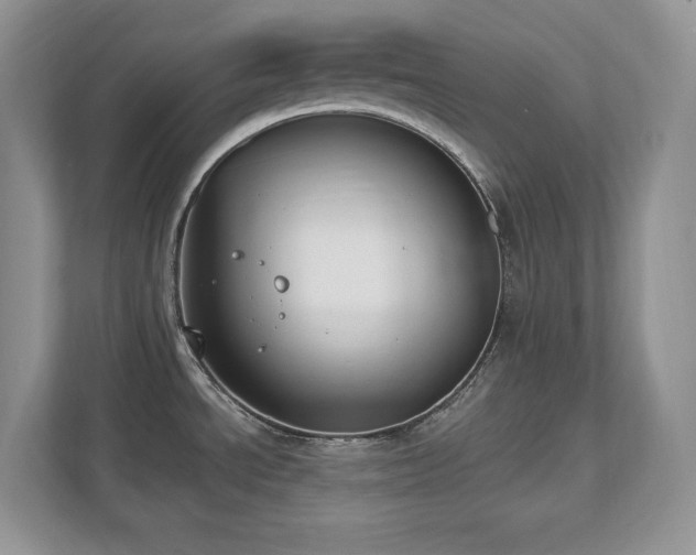 X0000112861534200908211310