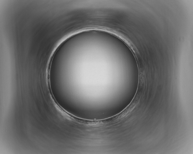 X0000112861535200908211310
