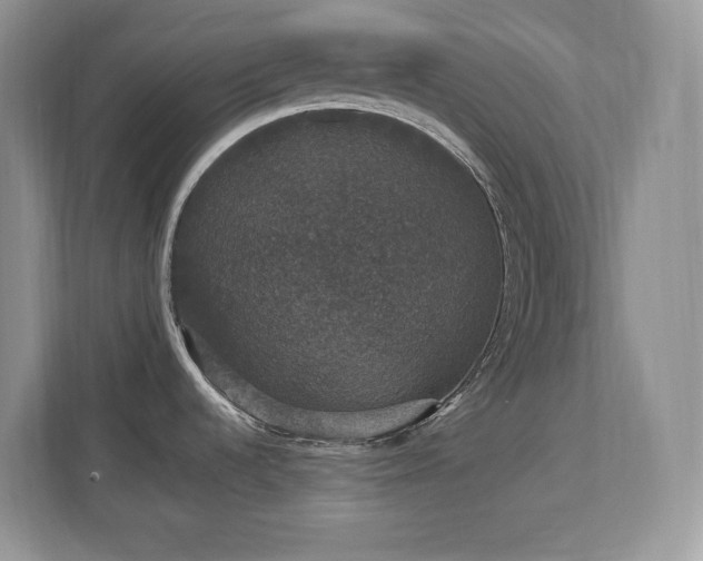 X0000112861536200908211310