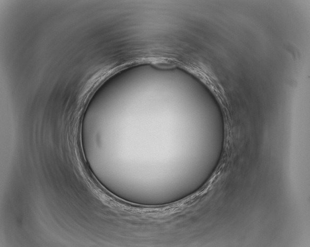 X0000112860001200908281613