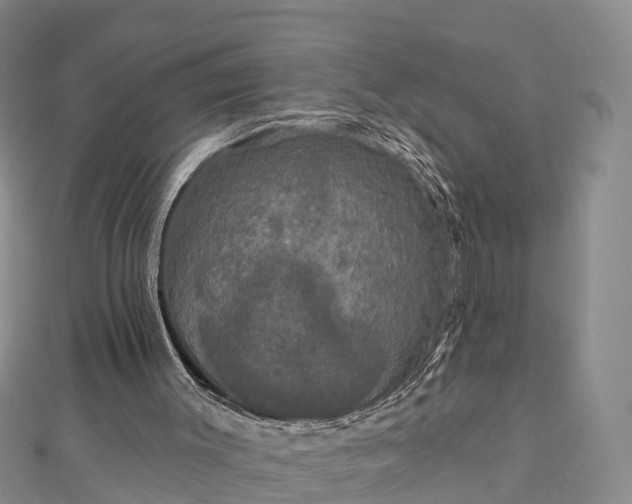 X0000112860003200908281613