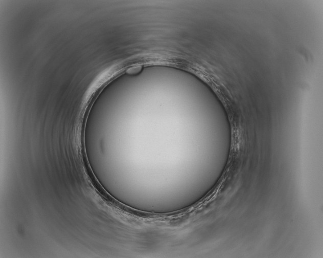 X0000112860004200908281613