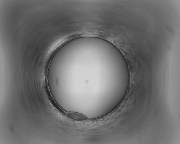 X0000112860005200908281613