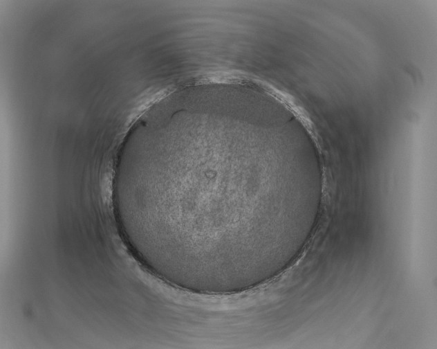 X0000112860010200908281613