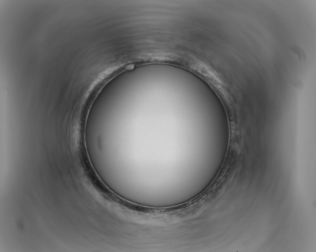 X0000112860012200908281613