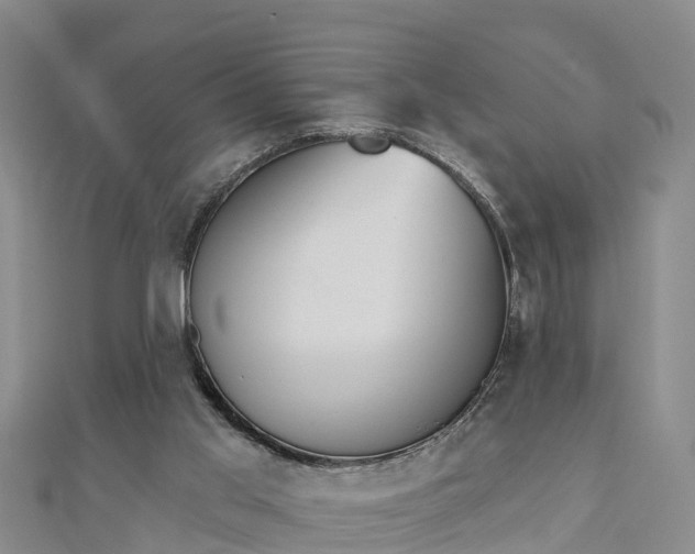 X0000112860013200908281613