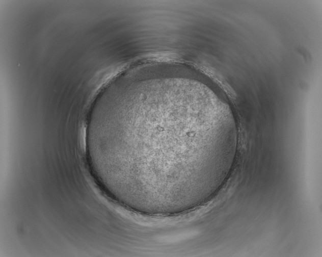 X0000112860014200908281613