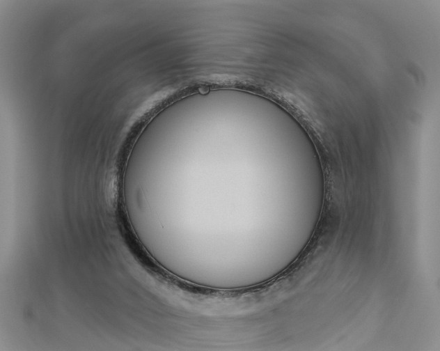 X0000112860016200908281613