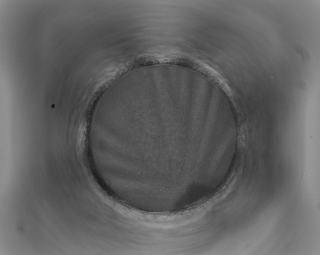 X0000112860018200908281613