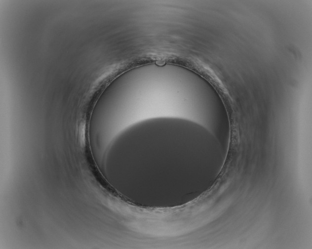 X0000112860019200908281613