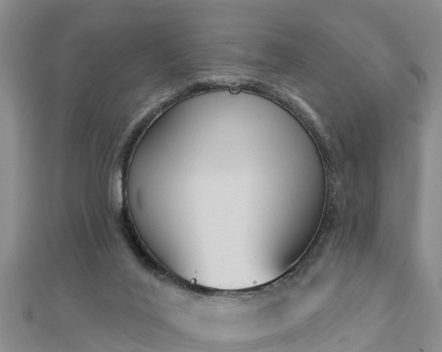 X0000112860020200908281613