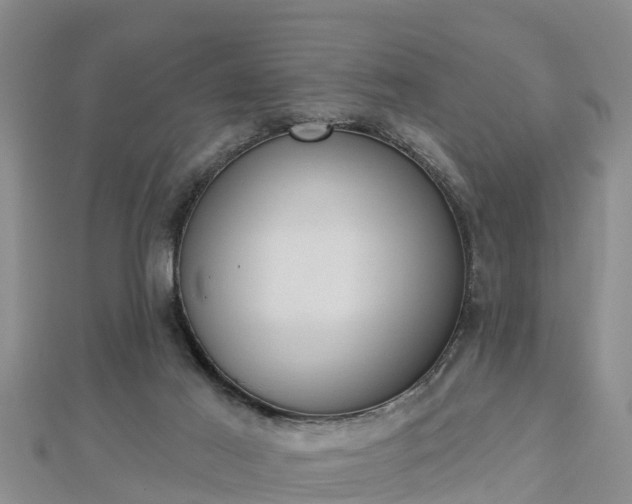 X0000112860021200908281613