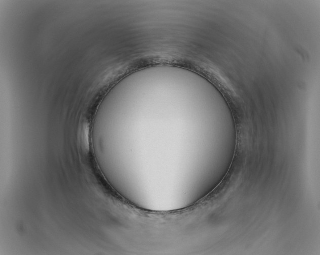 X0000112860022200908281613