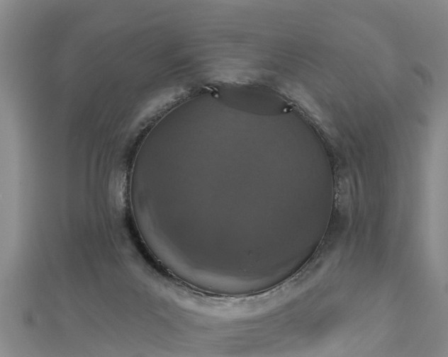 X0000112860023200908281613