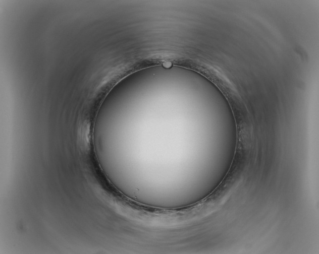X0000112860024200908281613