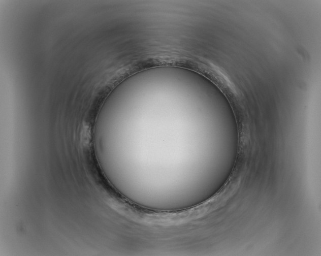 X0000112860025200908281613