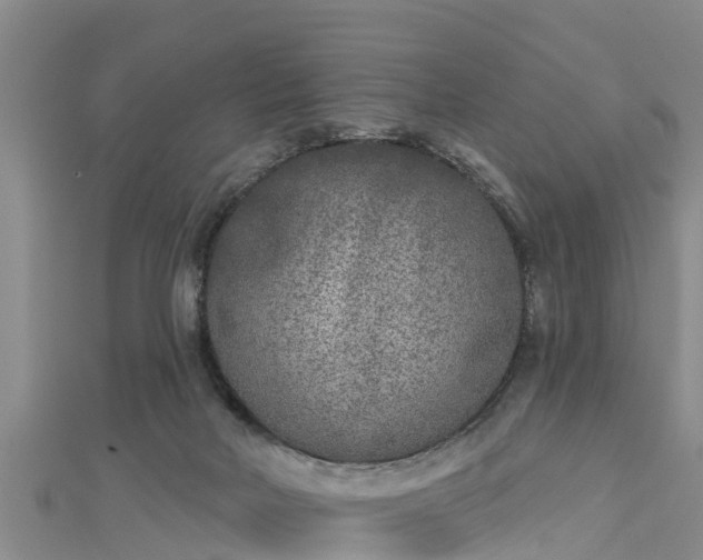 X0000112860026200908281613