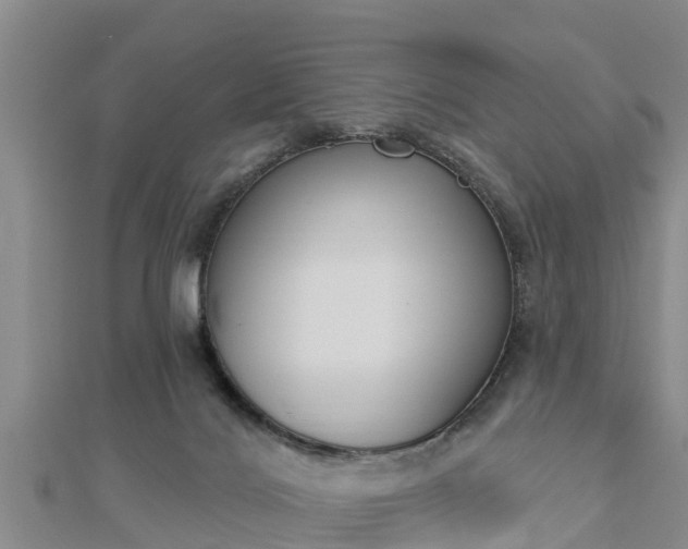 X0000112860028200908281613