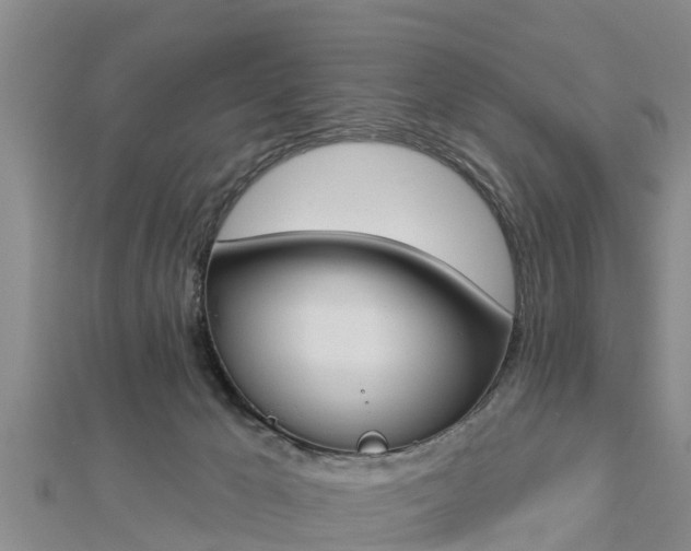 X0000112860029200908281613