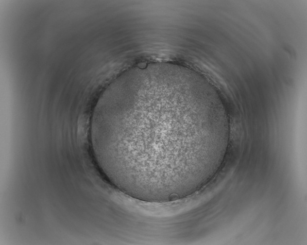 X0000112860030200908281613