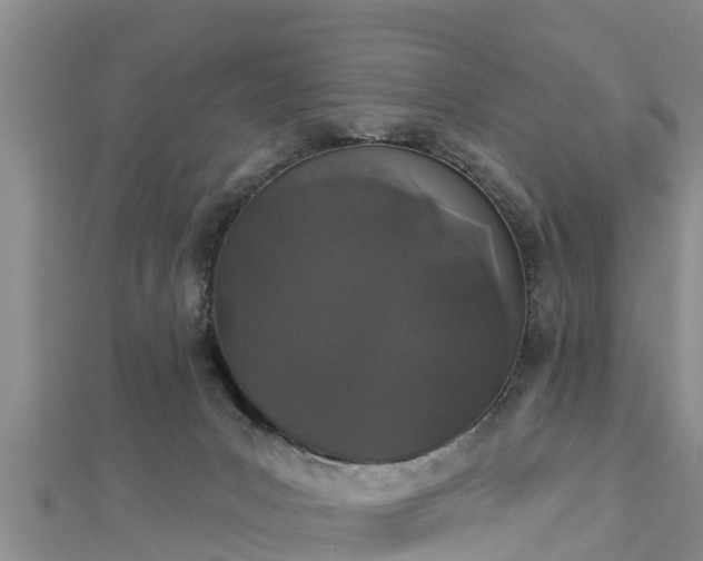 X0000112860031200908281613