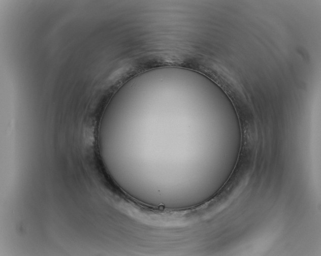 X0000112860032200908281613