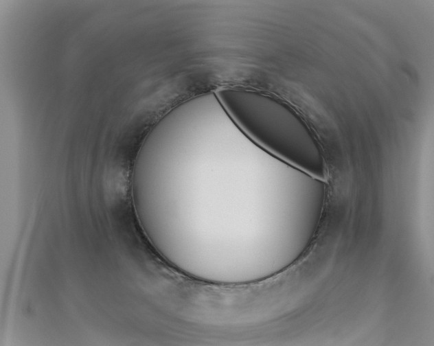 X0000112860033200908281613