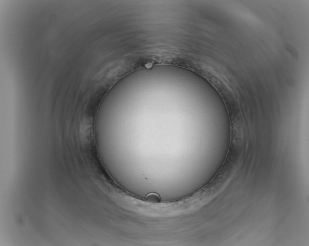 X0000112860034200908281613
