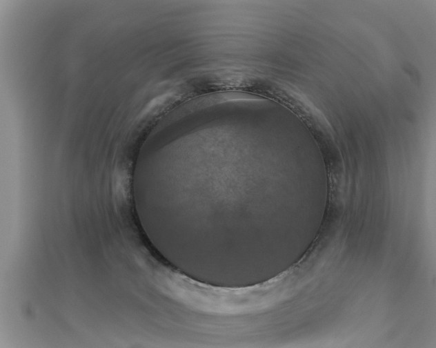X0000112860035200908281613