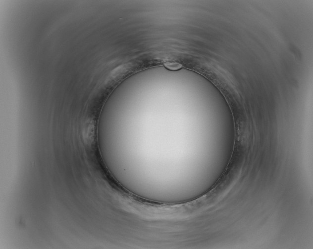 X0000112860036200908281613