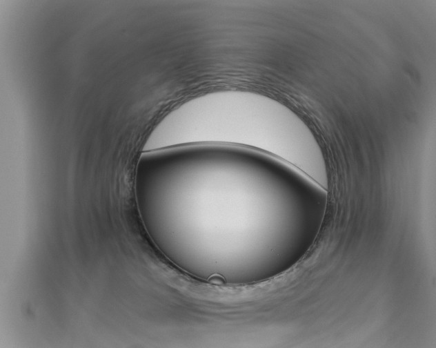 X0000112860037200908281613