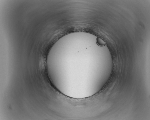 X0000112860038200908281613