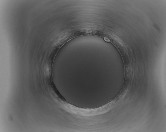 X0000112860039200908281613