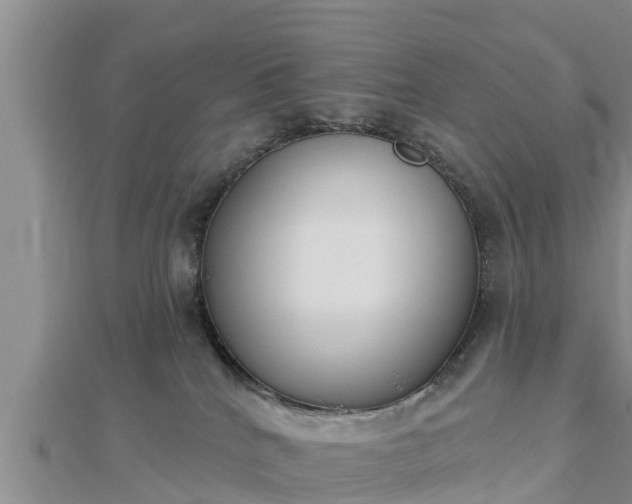 X0000112860040200908281613