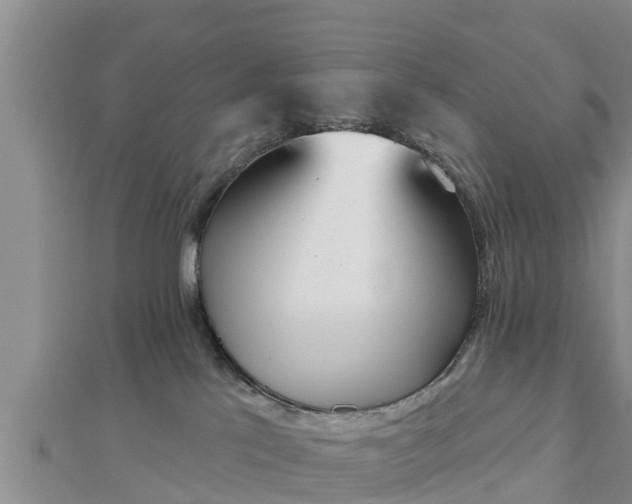 X0000112860041200908281613