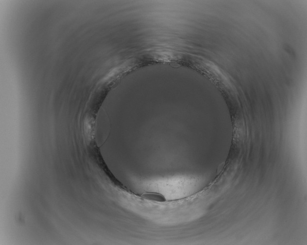 X0000112860043200908281613