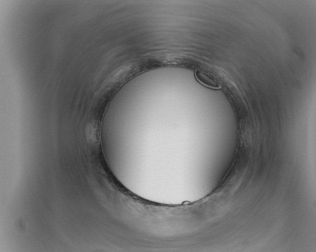 X0000112860044200908281613