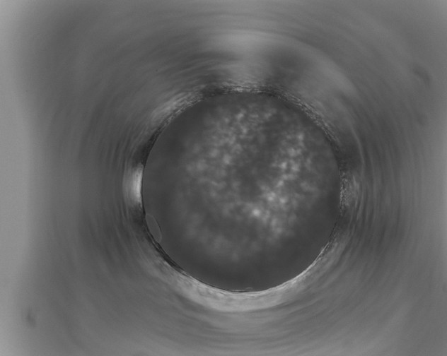 X0000112860047200908281613