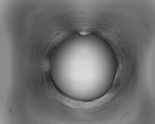 X0000112860048200908281613