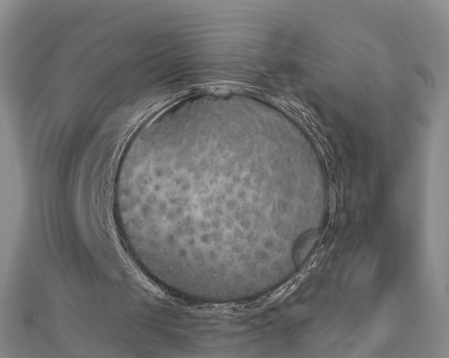 X0000112860049200908281612