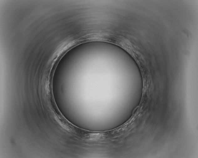 X0000112860050200908281612