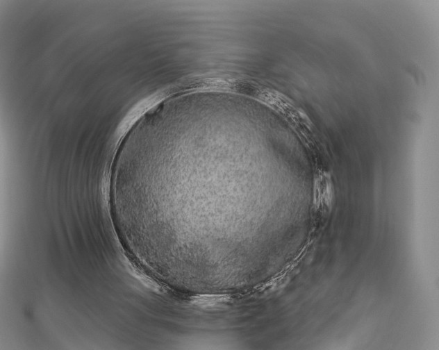 X0000112860051200908281612