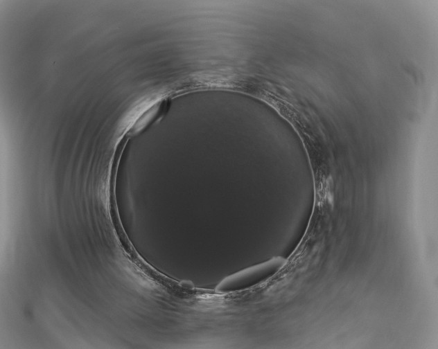 X0000112860052200908281612