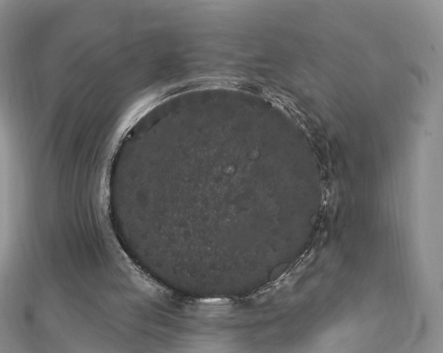 X0000112860053200908281612
