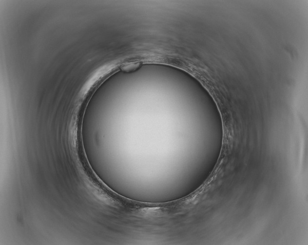 X0000112860054200908281612