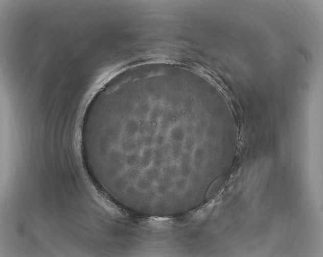 X0000112860055200908281612