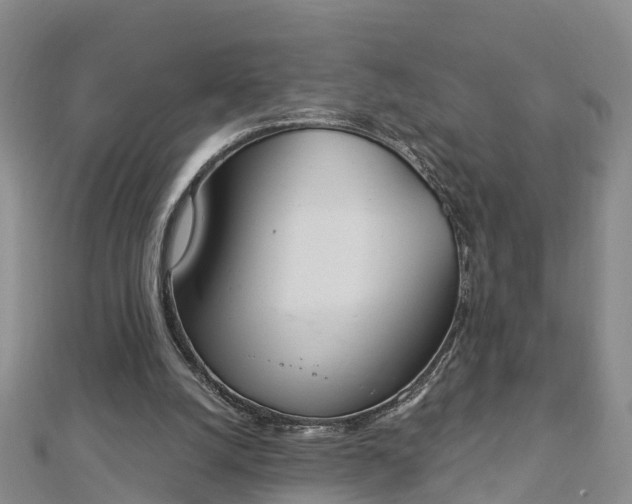 X0000112860056200908281612