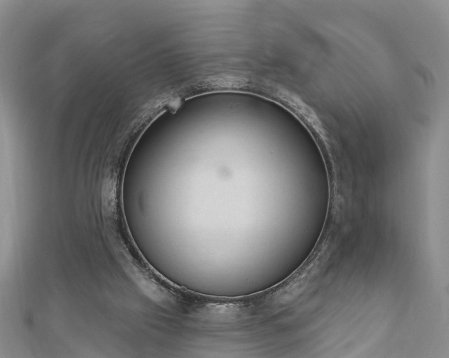 X0000112860057200908281612