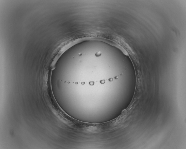 X0000112860058200908281612
