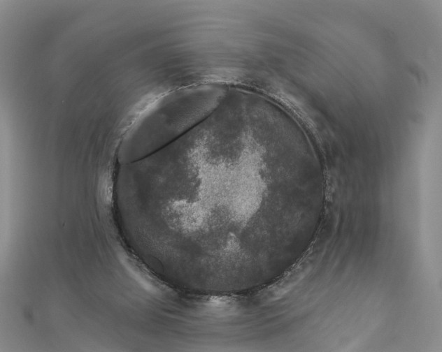 X0000112860060200908281612